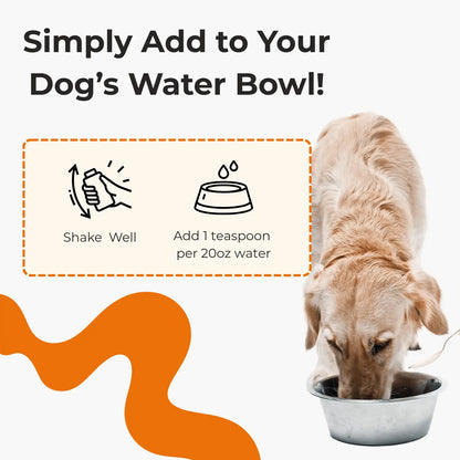 PawBright™ Dental+