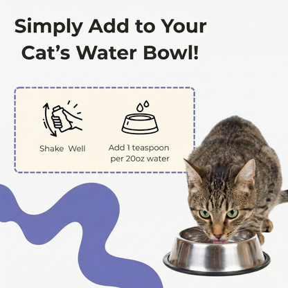 PurrBright™ Dental+