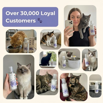 PurrBright™ Dental+