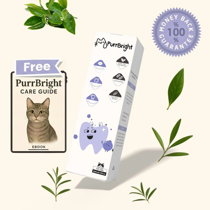 PurrBright™ Dental+